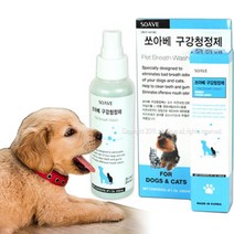 강아지 입냄새제거 구강 스프레이 청결제 치석, 1개, 구강청정제