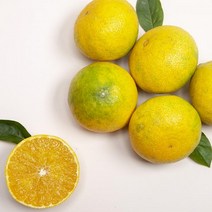 서귀포산지직송 제주 고급과일 하우스 황금향 소과 3kg(벌크)
