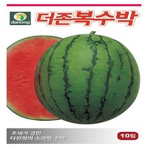 다농원예가든 더존복수박10립