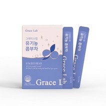 그레이스랩 유기농 콤부차 5g, 30개입, 3개