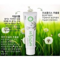 잇못질환 구내염 개선 프로폴리스 하얀민들레 치약 150g 5개, 하얀 민들레 치약 150g 5개