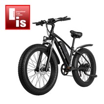 전기 자전거 26 인치 산악 자전거 1000W ebike 48V 17Ah 크루저 e-바이크, 01. 17Ah Battery