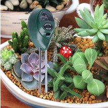 가든 3in1 토양 수분측정기 무동력 산도측정기, 단품