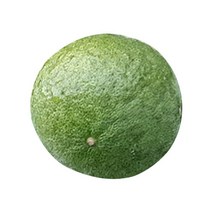 생 탱자 열매 국내산 청탱자 생지실 말린탱자 아니고 생탱자입니다. (300g~1kg), 500g