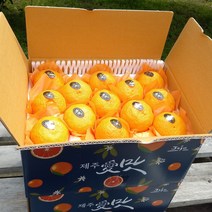 - 제주산지직송 - 제주카라향 5kg(22~30수 로얄과 2단선물용) 달콤한 맛과 텐션을 팍팍 올려주는 상큼함 1년에 딱 4주만 출하 실속있는 과일선물세트 박스무게포함, 2박스