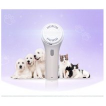반려동물피부 케어 국내산특허 반려동물 피부 냄새 귀 케어를 위한 최고의 바디매니저 병원가지마시고 집에서 케어하세요, 1개
