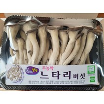 야채왕 무농약 느타리 참타리 버섯 200g 1팩 3팩 5팩 10팩 1박스, 느타리10팩