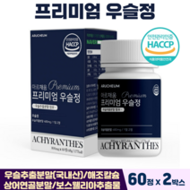 프리미엄 우슬정 사포닌 국산 우슬 복합물 추출분말 초록입홍합 상어연골 관절영양제, 2박스, 우슬복합정 60정