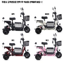 전기 오토바이 노인전동차 장애인 스쿠터 세발 가정용 소형 승하차 접이식 JH, 듀얼600W리튬15A40km/3인