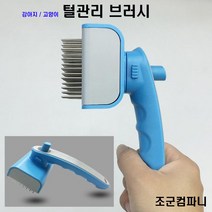 조군컴파니 강아지 빗 브러시 죽은털 엉킨털 관리 요크셔테리어 요키 웰시코기 페키니즈 닥스훈트, 그린