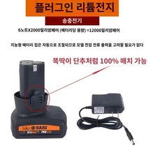 듀얼 왁싱기 무선 충전 액션 자동차 폴리셔 광택기 연마기 21V, 6단 동력 배터리 12,000밀리암페어