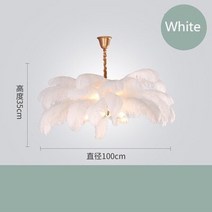 샹들리에 북유럽 타조 깃털 LED 샹들리에 로맨틱 펜던트 램프 침실 행잉 레스토랑 조명 가정용 데코 기구, 06 White color_01 Dia75cm