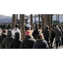 1+1 에버랜드 롯데월드 서울랜드 놀이동산 오픈런 줄서기 웨이팅 청소년 접의식 간의의자, 레인보우(오렌지+블루)