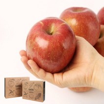 산지직송 충북 사과세트 5kg 15-18과, 단품없음