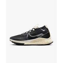 국내매장판 나이키 페가수스 트레일 4 GORE-TEX DJ7926 남자 런닝화