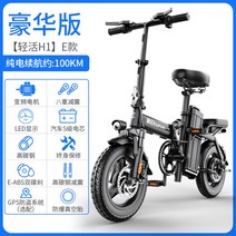 접이식 전기자전거 소형 대리운전 차토바이 미니 배달 여행, 48V, 디럭/25A약100km/인버터대전기/S배터리