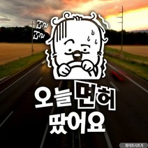 오늘 면허 땄어요 아리 초보운전스티커-반사, 단품