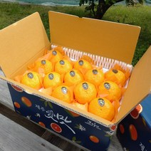 - 제주산지직송 - 제주카라향 5kg(22~30수 로얄과 2단선물용) 달콤한 맛과 텐션을 팍팍 올려주는 상큼함 1년에 딱 4주만 출하 실속있는 과일선물세트 박스무게포함, 1박스