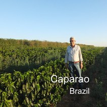 [위트러스트] 브라질 카파라오 200g Brazil 스페셜티 커피 Caparao, 에스프레소