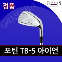 포틴 TB5 남성 아이언세트 TB5 포지드 남자 포틴 아이언, 7아이언(5-P/A), 모듀스 105 R
