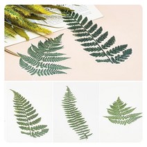 드라이플라워 나뭇잎 스티커 6개입 A 제품포장 다꾸꾸미기 인테리어 벽 꾸미기 촬영소품 다용도 활용