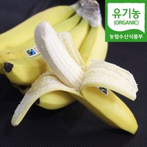 [자연마을] 유기농 인증 다이어트 과일 바나나 2봉 1.8kg 내외 3봉 2.7kg 내외, 1봉당 900g내외