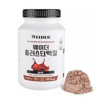 웨이더 플러스 단백질 초콜릿맛 1020g, 2개