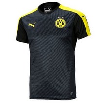 푸마 BVB CUP 스타디움 SS 트레이닝 TEE 74984302