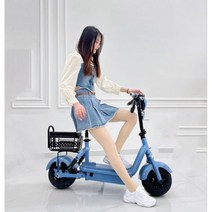 2023 신형 소형 전기자전거 리튬배터리 배터리차 엠마야디 동형 경형 보행기 111957, 48V, 자가배터리-【배터리 없는 차】