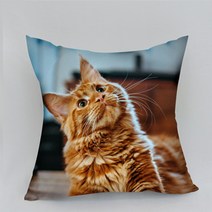 사랑예감 사진 맞춤제작 특별한 나만의 쿠션, 타입A(테두리없음)