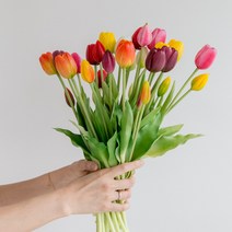 [피플랜트] 생화같은 촉촉한 망고튤립 조화 5송이 꽃다발 부케 꽃장식, 추가옵션01 호리화병