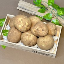 강원도 포슬포슬 수미 두백 감자 쫀득이 햇감자 3~10kg, 중(알감자) 3kg, 1개