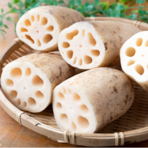 <컴팜>연근 정품 대용량 행사가 (, 2kg, 1박스” class=”wr-img”></a></div>
</p></div>
</p></div>
</p></div>
<div class=