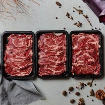 기타 [참다올] 마장동 프리미엄 숙성 등심선물세트 1.2kg(등심400gx3)