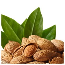 [버블빈] 천연화장품재료-스윗아몬드오일100%(정제), 500ml