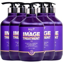 위스티 이미지 극손상 헤어트리트먼트 씨에로 500ml, 5개