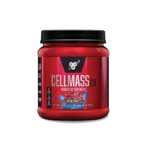 BSN 비에스엔 셀메스 운동후 파우더 495g 25회분 블루라즈베리