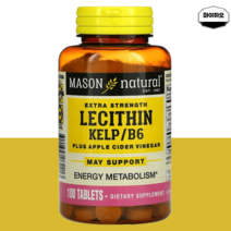 메이슨 레시틴 lecithin 포스파티딜콜린 켈프 1200mg 100정, 레시틴 1200mg 100정