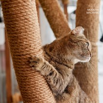 고양이 스크래쳐 리필 마끈 5mm 6mm, 마끈 6mm (24합)