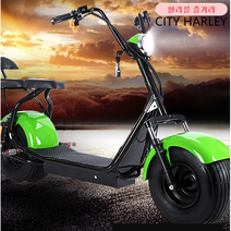 전동스쿠터 전기스쿠터전기오토바이QS015, 20A