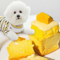 강아지 생일 애견 간식 단호박 치즈 파운드 빵 케이크, 단호박 치츠파운드 1개