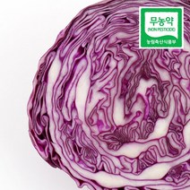 친환경 유기농 무농약 적채 적양배추 보라색 양배추 2kg 5kg, 적양배추 5kg