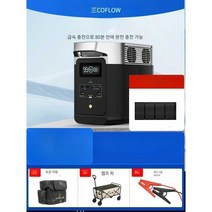 에코플로우 델타2 파워뱅크 본품 인산철배터리, 독일 DELTA2+ 차량용  충전기