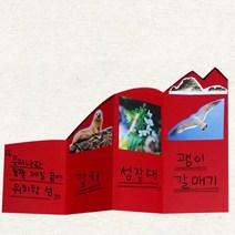 독도 생태계 강치 갈매기 동물 팝업북 책만들기 5인 학습용 집콕놀이 6살 종이책 돌봄