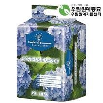 수국전용상토/파랑(20L)비료/모종/c2938, 1개