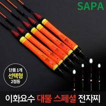 이화 요수 대물 스페셜 2점등 민물 전자 낚시 찌, 녹색 38cm