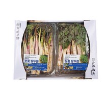 당일수확 강원도재배 땅두릅 두릅 300g, 눈꽃 땅두릅 1kg(500g 2팩)