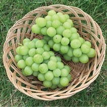 수출용 샤인머스켓 특품 선물용 망고포도 청포도 2kg (2~3수), 2~4수