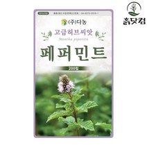 페퍼민트 씨앗 200립 매운박하 여러해살이풀 허브씨앗 + 네임택, 단품