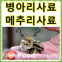 초이사료 병아리사료 1kg 소분판매전문 종합비타민 폐사방지 비타민 천연미네랄 무기질 다량함유 [명품사료], 11번 천연칼슘가루 200g